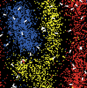 Ant sorting preview image